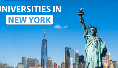 American Universities in New York